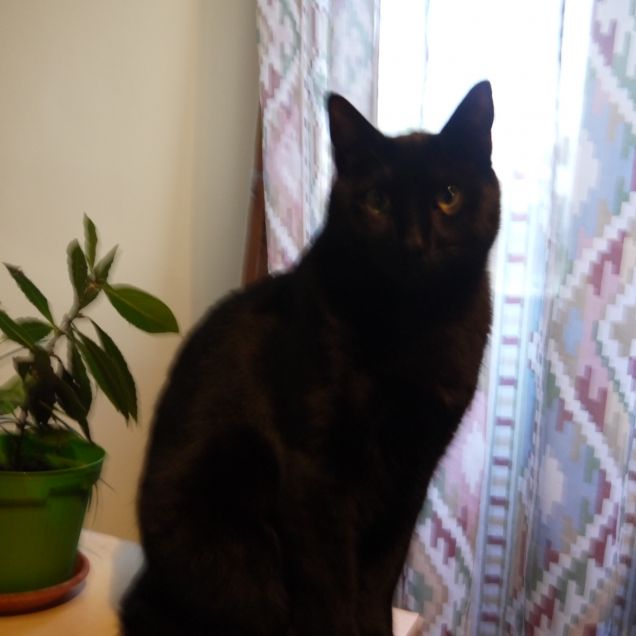 AUGUSTO NEL MIO STUDIO