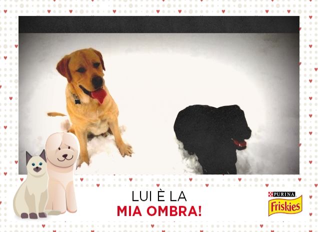 I più forti siamo noi