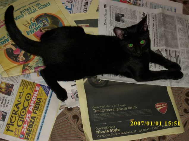 Mi è scappato di fare un disastro...