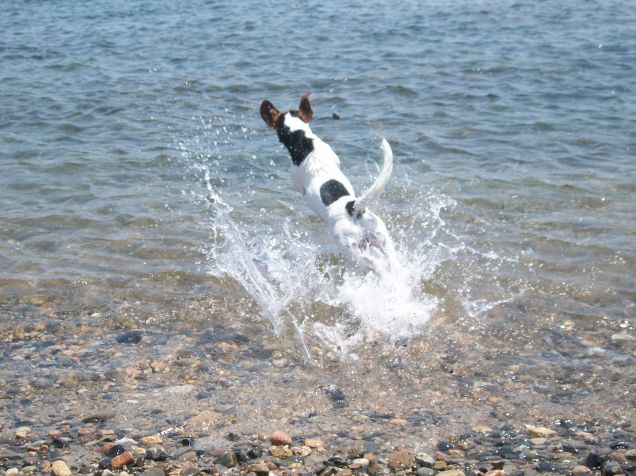 un tuffo dove l'acqua è più blu