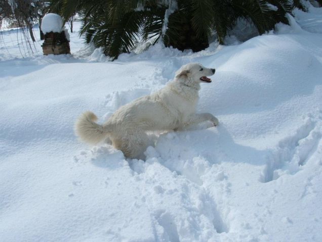 Lina e la neve