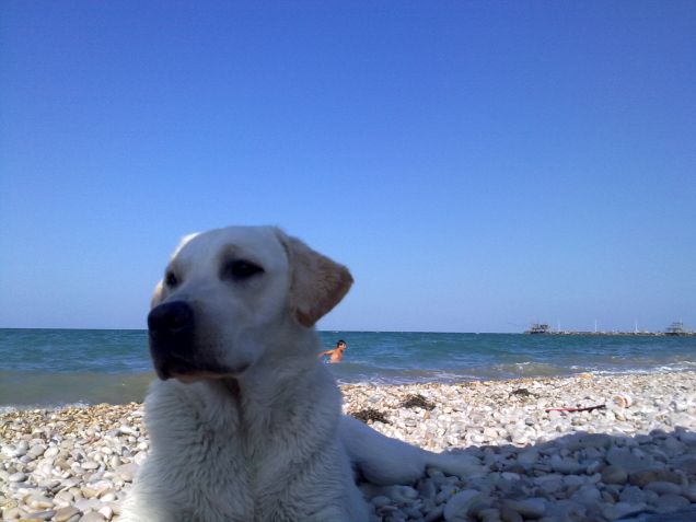 Adoro il mare...marchio di fabbrica!