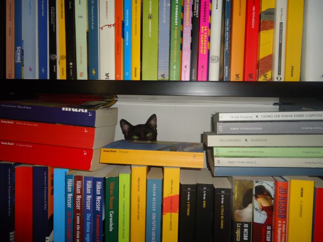 Ruki tra i libri