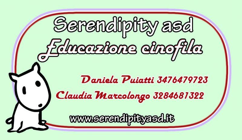 Educazione cinofila, rieducazione e  and many more...