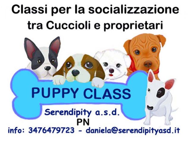 PUPPY CLASS