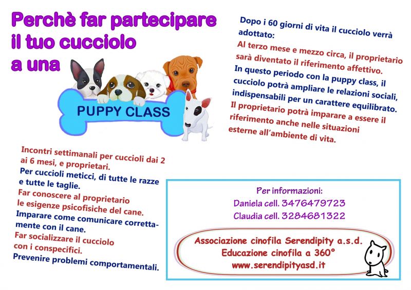 Puppy class 