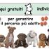 Educazione del cane