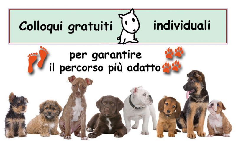 Educazione del cane
