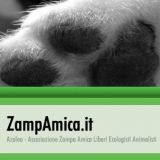 Associazione Zampa Amica Liberi Ecologisti Animalisti