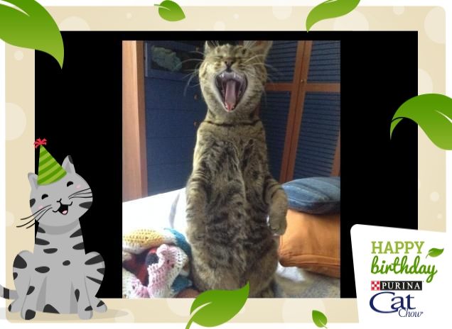 mammaaaaaa ho fameeeeeee