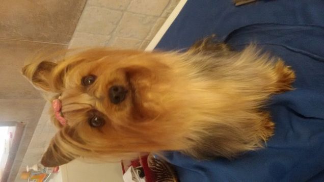 Quanto mi durerà la pettinatura ??