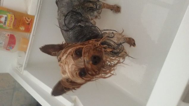 Uffa non mi sono nascosta abbastanza 