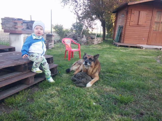 io e il mio amico cucciolo d'uomo