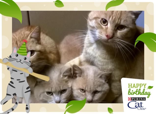 GRUPPO DEI ROSSI !!!