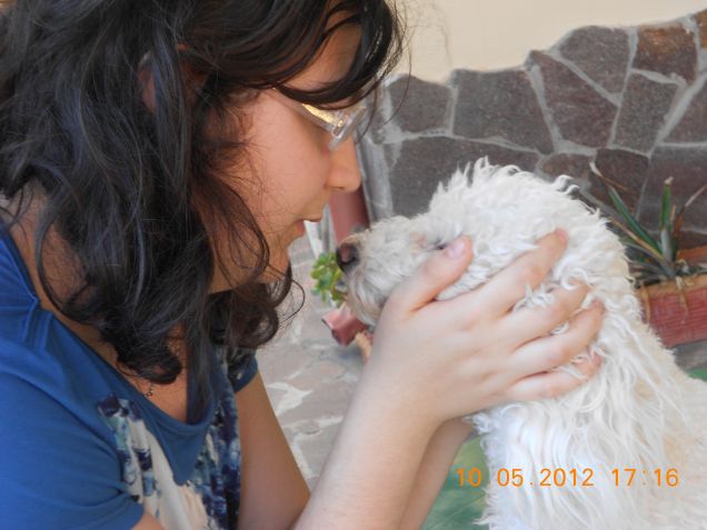 Semplicemente amore ...