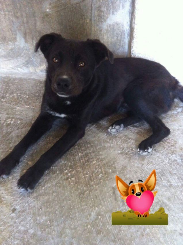 Ma nemmeno se faccio gli occhi dolci mi volete?