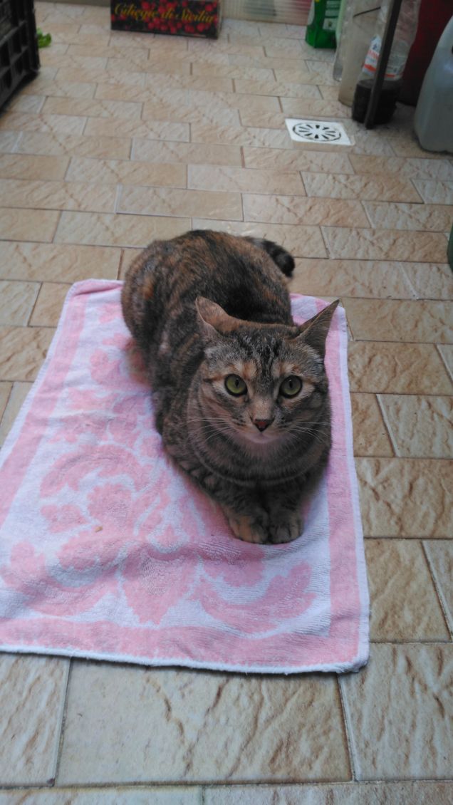 I'm sexy and I kwow it