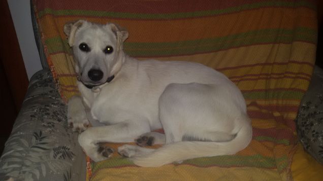 Che c'hai da guardá..sto riposando!