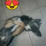 ma a cosa mi serve un Personal trainer...