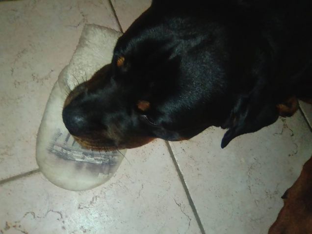 Ciabatta amore mio...