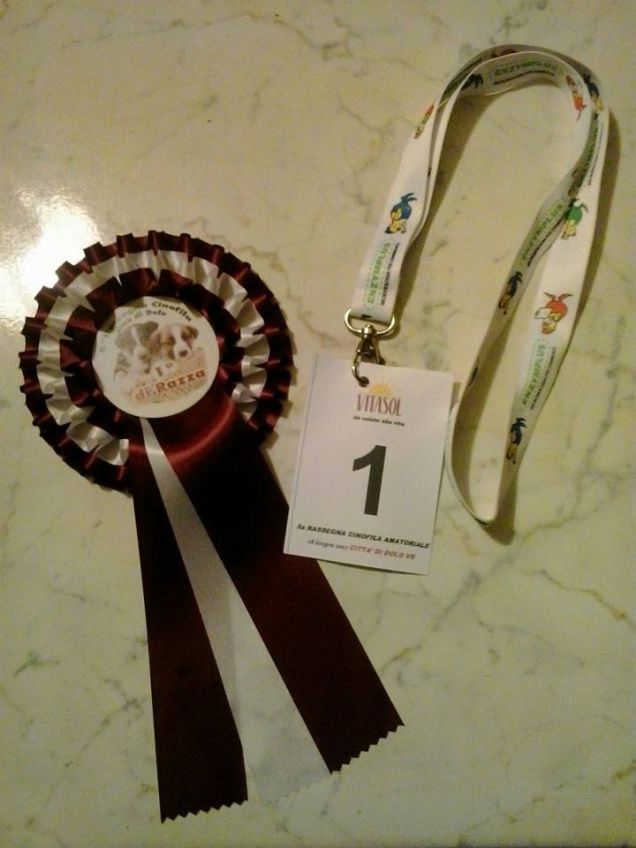 Rassegna cinofila 'Cani sotto le stelle'  Dolo 18/06/2017