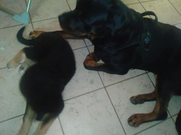 ...ti tengo d'occhio...