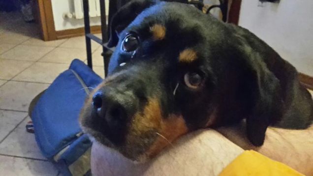 ...posso salire sul divano? dobbiamo stare vicine vicine...