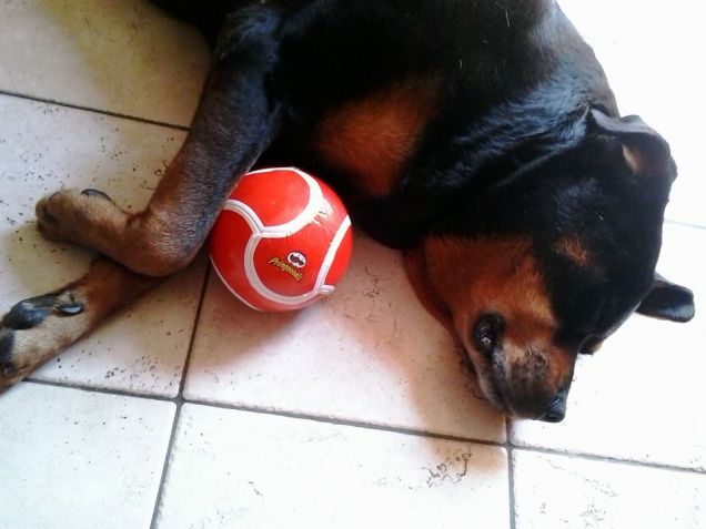 palla...una delle tante...