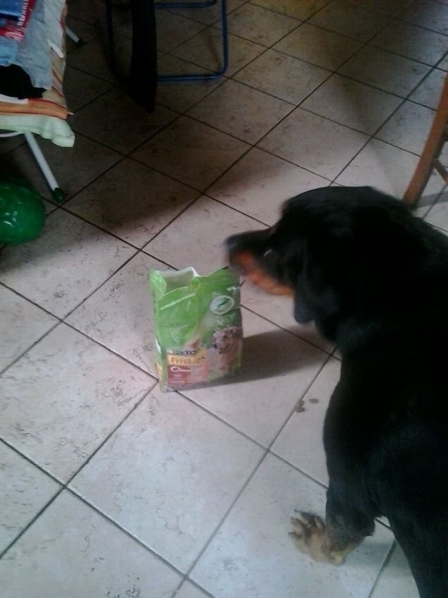 questa pappa e' mia ! 