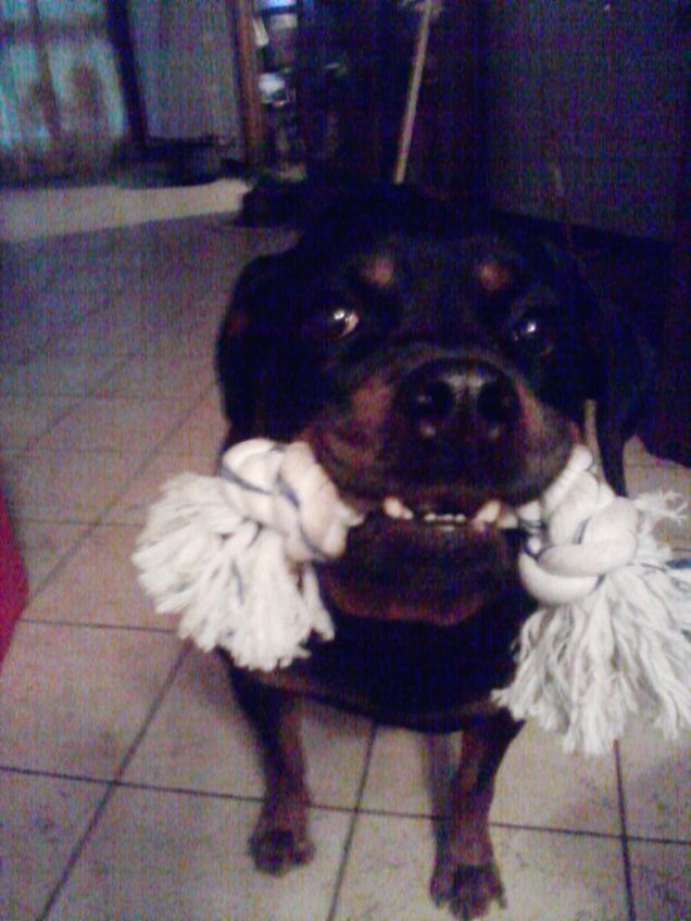 vieni che ti faccio giocare ...