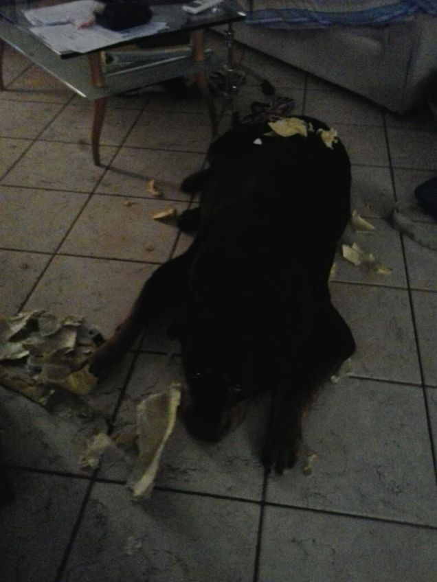 mamma c'e' posta...c'era...