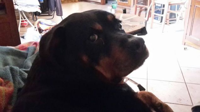 che c'e' da guardare?