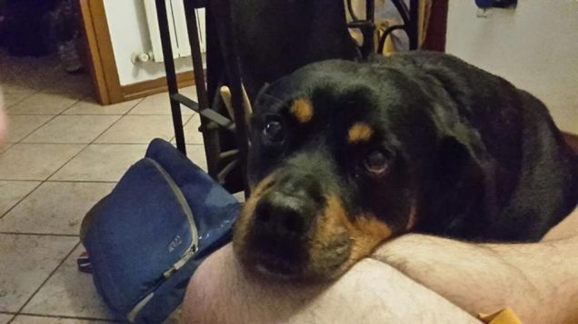 la amo perche' non mi lascia mai...ma proprio mai...