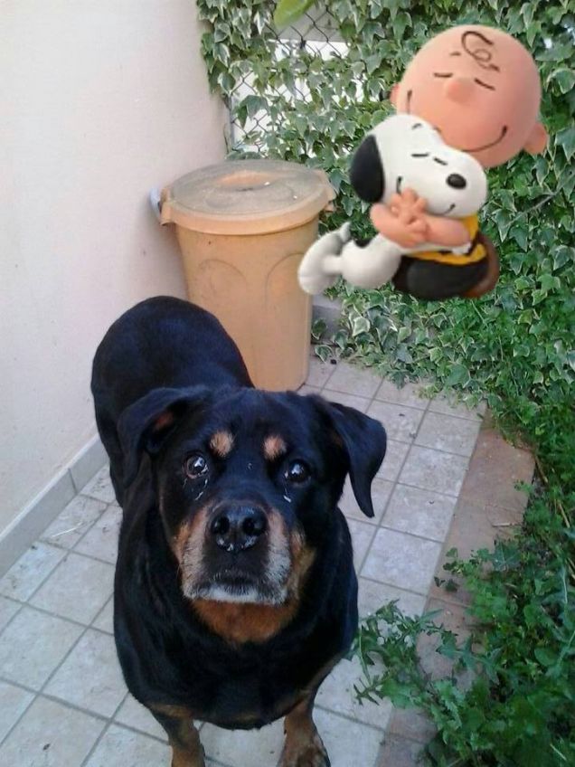 una delle ultime foto...