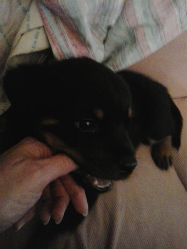 ...noi siamo piccoli,ma cresceremo...