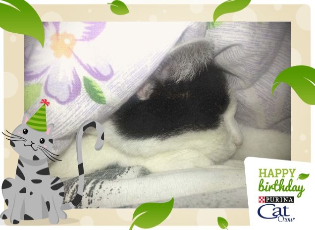 Tanti auguri da Battaglina