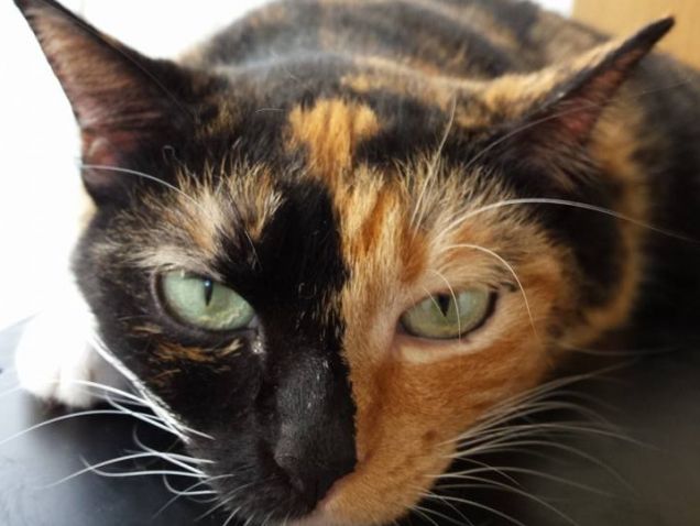 La cosa più importante della mia vita