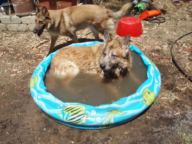 tobia e nana, giochi d'estate