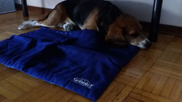 con il tappetino gourmet..