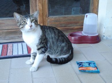 Sofficino  e Macchia