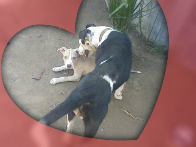 mia e argo