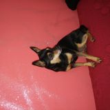 loredana
