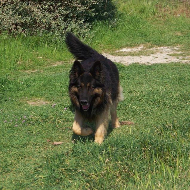 In totale libertà...