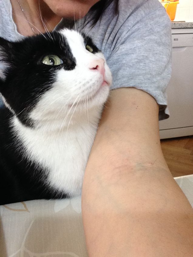 Cerino e i fantasmi...