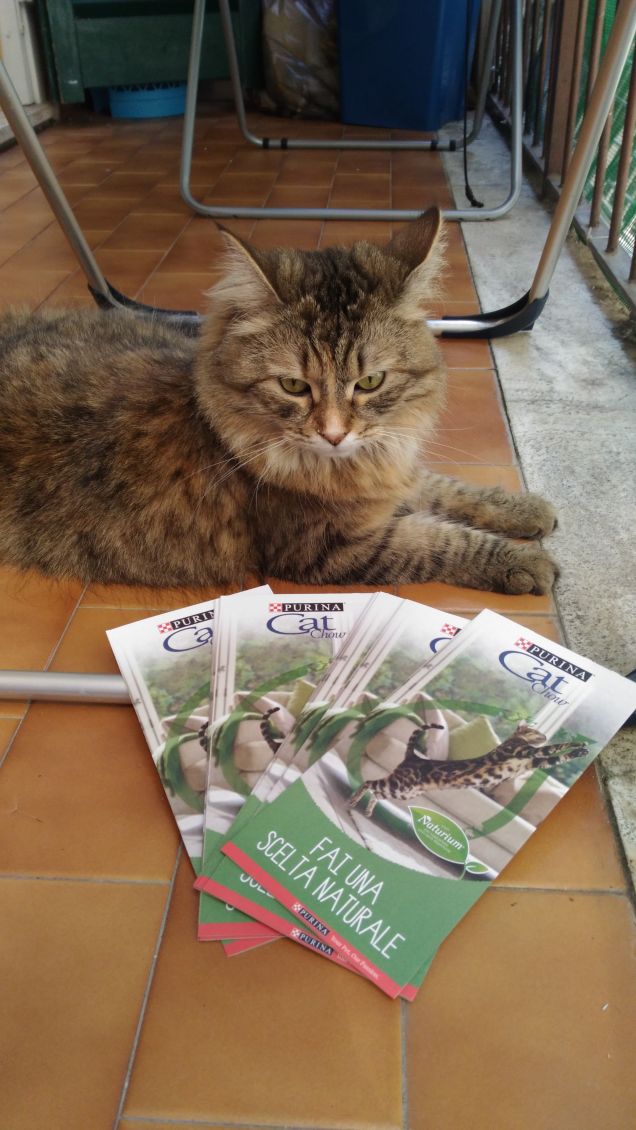 buoni sconto arrivaaati 