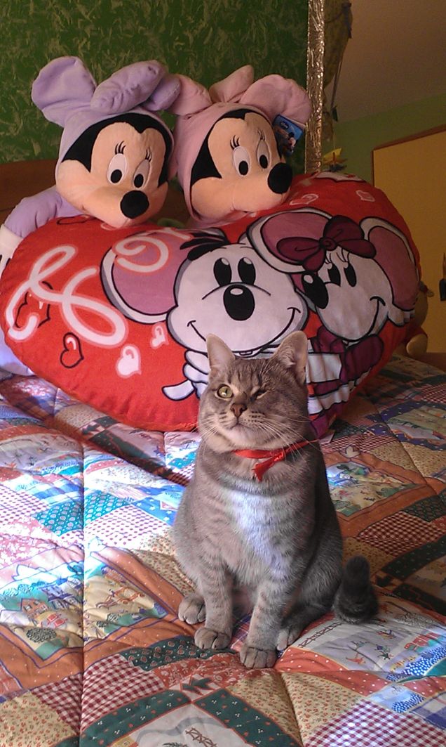 Buon S. Valentino :) 