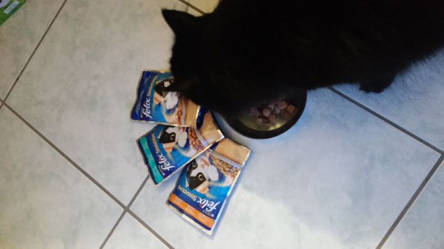 Nerone e i nuovi gusti di bocconcini Felix 