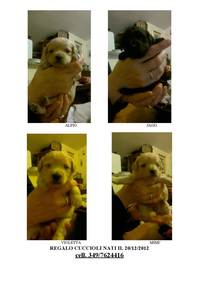 I miei cucciolotti!!!