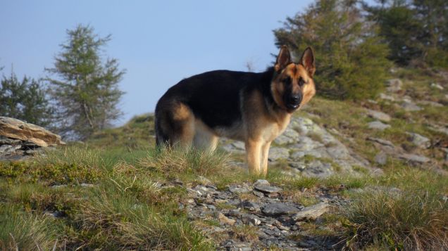 Mya in montagna!!!