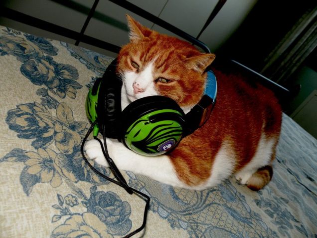 mi piace la musica.........